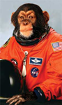 monkey.png